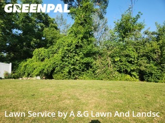 Lawn Mow nearby Cincinnati, OH, 