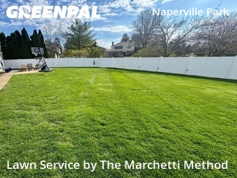 Lawn Mowing Service nearby Naperville, IL, 