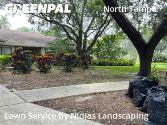 Grass Cutting nearby Lake Magdalene, FL, 