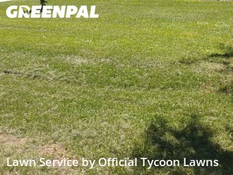 Grass Cutting nearby Palm Coast, FL, 