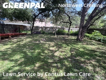 Lawn Care nearby San Antonio, TX, 
