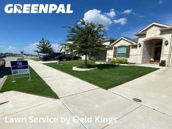 Lawn Cut nearby Haslet, TX, 