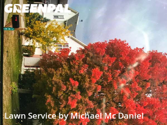 Grass Cut nearby Indianapolis, IN, 