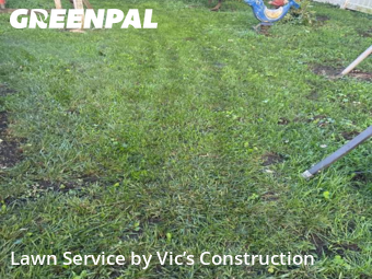 Lawn Cutting nearby Joliet, IL, 