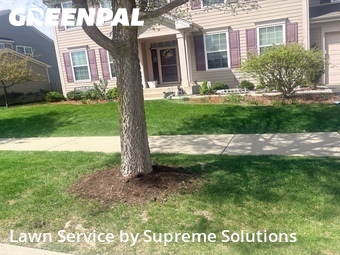 Yard Mowingin Elgin,60124,Grass Cut by Supreme Solutions , work completed in Jul , 2026