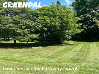 Grass Cut nearby Asheville, NC, 