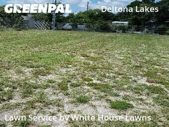 Lawn Cutting nearby Deltona, FL, 