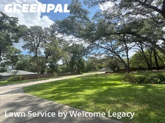 Lawn Cutting nearby Gainesville, FL, 