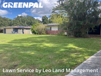 Lawn Mow nearby Lakeland, FL, 