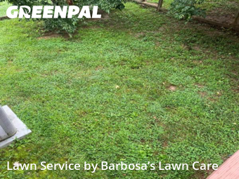 Yard Mowing nearby Asheville, NC, 