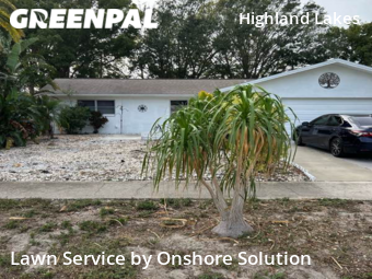 Lawn Care nearby Palm Harbor, FL, 