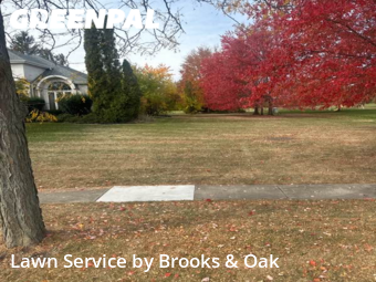 Lawn Cutting nearby Naperville, IL, 