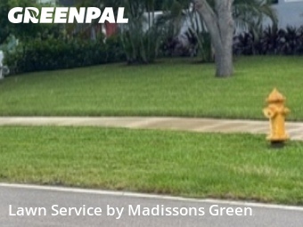 Lawn Care Service nearby Lake Worth Beach, FL, 