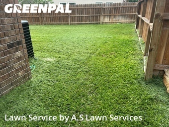 Lawn Cutting nearby Cibolo, TX, 