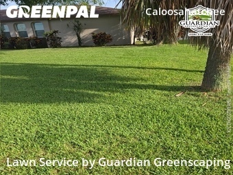 Yard Cutting nearby Cape Coral, FL, 