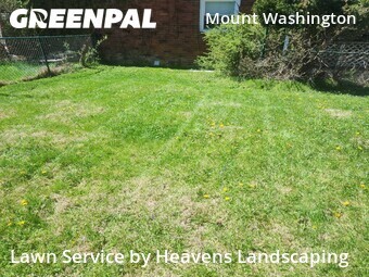 Backyard Landscaping In Pittsburgh,15211,Landscaping Services by Heavens Landscaping, work completed in Apr , 2026