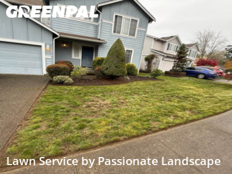 Yard Grooming in Olympia, 98502, Lawn Care by Passionate Landscape, work completed in Dec , 2025