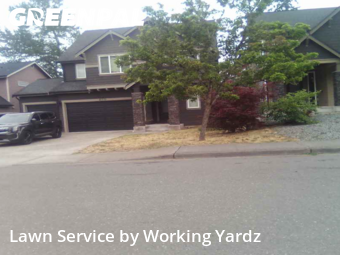 Backyard Mowing in Renton, 98055, Yard Upkeep by Working Yardz, work completed in Aug , 2025