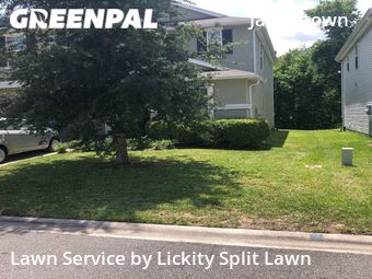 Lawn Cut nearby Jacksonville, FL, 