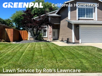 Grass Cutting nearby Antelope, CA, 