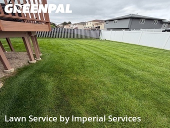 Lawn Cut nearby Country Club Hills, IL, 