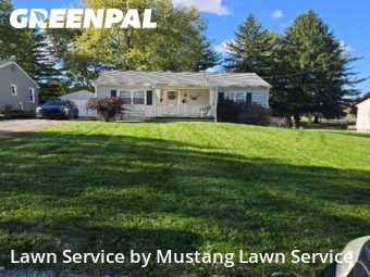 Grass Cut nearby North Lima, OH, 
