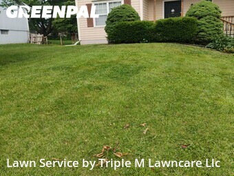 Yard Cutting nearby Lee's Summit, MO, 