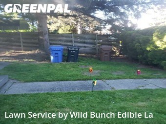 Lawn Maintenance nearby Tacoma, WA, 