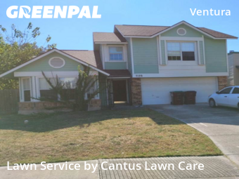 Lawn Maintenance nearby San Antonio, TX, 