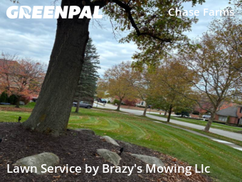 Lawn Mowing in Novi, 48375, Garden Trimming by Brazy's Mowing Llc, work completed in Nov , 2025