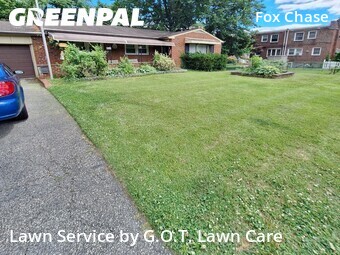 Grass Cut nearby Philadelphia, PA, 