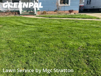 Grass Cutting nearby Garfield Heights, OH, 