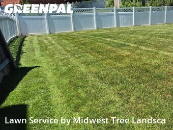 Lawn mowed in Tinley Park, 60477