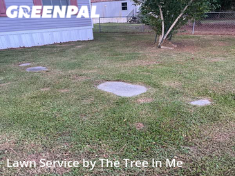 Grass Cutting nearby Jacksonville, NC, 