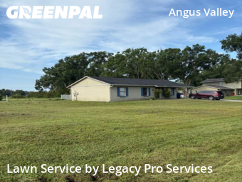 Grass Cut nearby Zephyrhills, FL, 