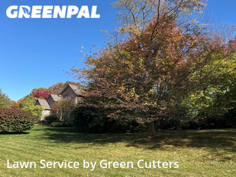 Yard Mowing nearby Indianapolis, IN, 