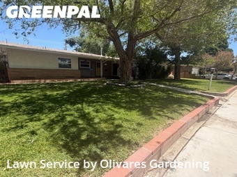 Lawn Care nearby Lancaster, CA, 