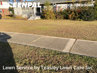 Lawn Care nearby Raleigh, NC, 