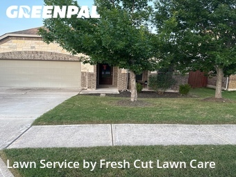Grass Cut nearby Round Rock, TX, 
