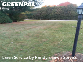 Turf Services in Mishawaka, 46545, Grass Services by Randy's Lawn Service, work completed in Nov , 2025