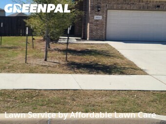 Lawn Mow nearby Marion, TX, 