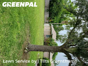 Lawn Cut nearby Port Charlotte, FL, 