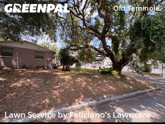 Lawn Cut nearby Tampa, FL, 
