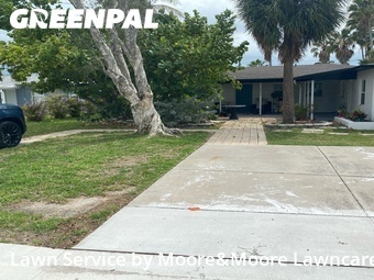Yard Cutting nearby Madeira Beach, FL, 