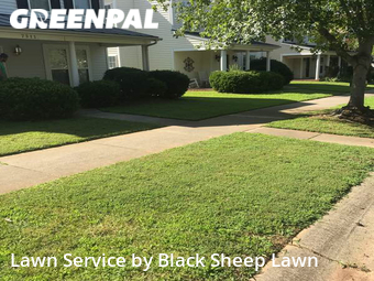 Grass Cut nearby Huntersville, NC, 