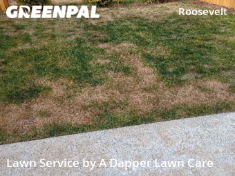 Lawn Cut nearby Bellingham, WA, 