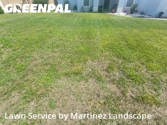 Grass Cut nearby Clermont, FL, 