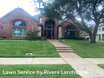Yard Cuttingin Flower Mound,75028,Yard Cutting by Rivera Landscape , work completed in Dec , 2025