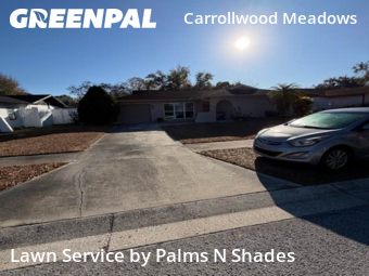 Lawn Mow nearby Tampa, FL, 