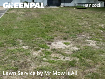 Lawn Cut nearby Cape Coral, FL, 